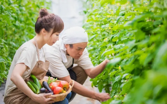 産直モールについて